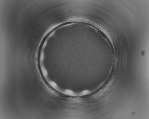 X0000116771045201001141446