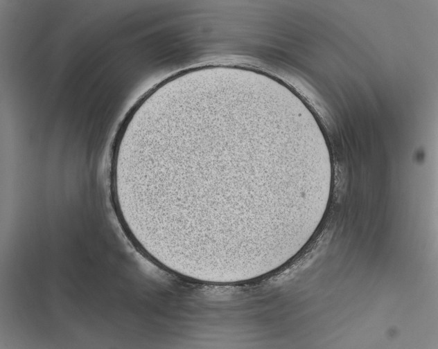 X0000116771046201001141446
