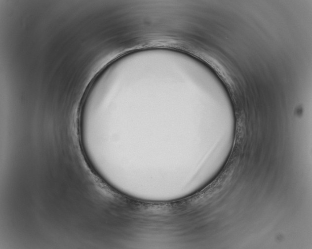 X0000116771047201001141446