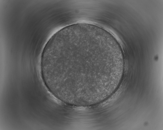 X0000116771048201001141446