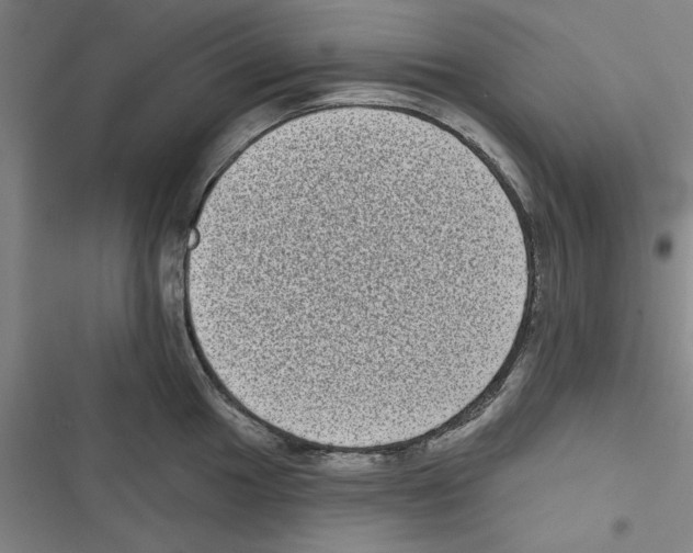 X0000116771049201001141446