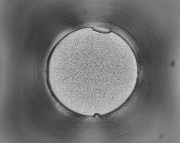 X0000116771050201001141446