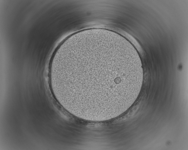 X0000116771051201001141446
