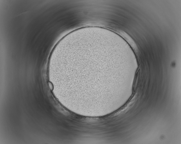 X0000116771052201001141446
