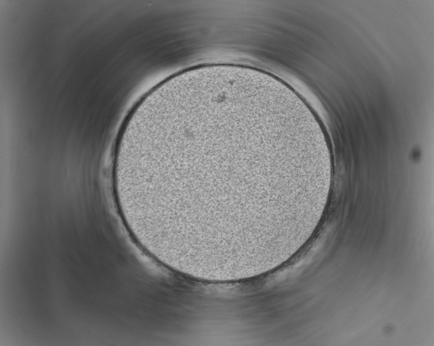 X0000116771053201001141446