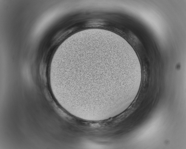 X0000116771054201001141447
