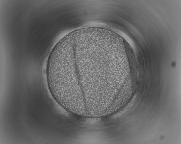 X0000116771055201001141447