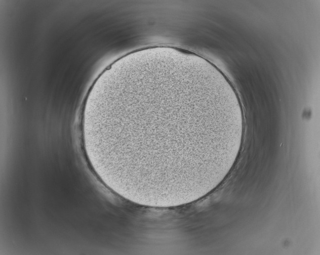 X0000116771056201001141447