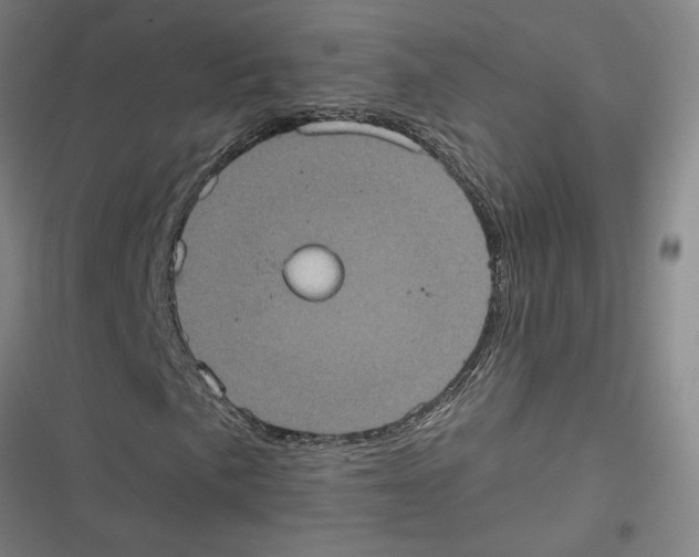 X0000116771057201001141446