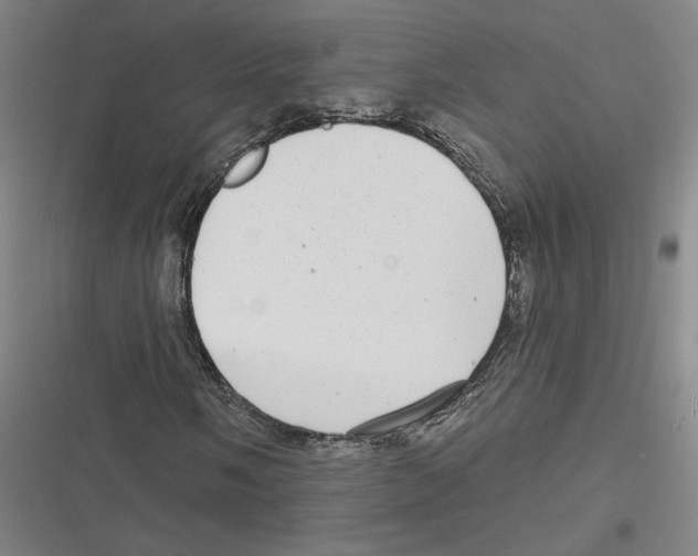 X0000116771058201001141446