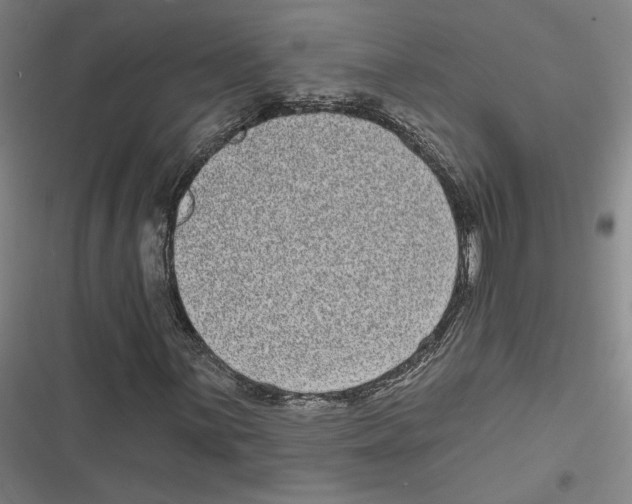 X0000116771059201001141446