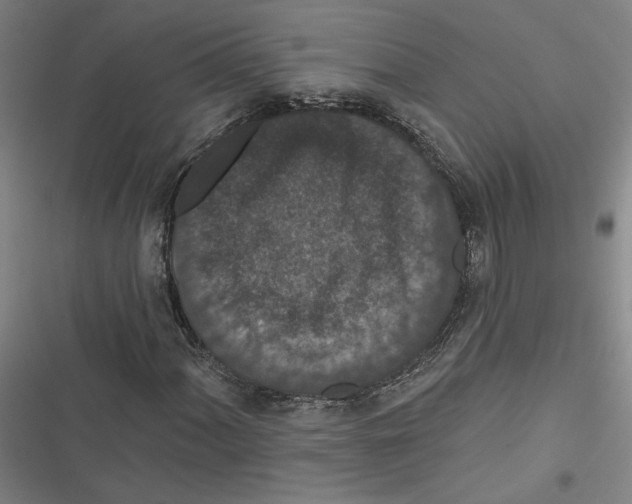 X0000116771060201001141446