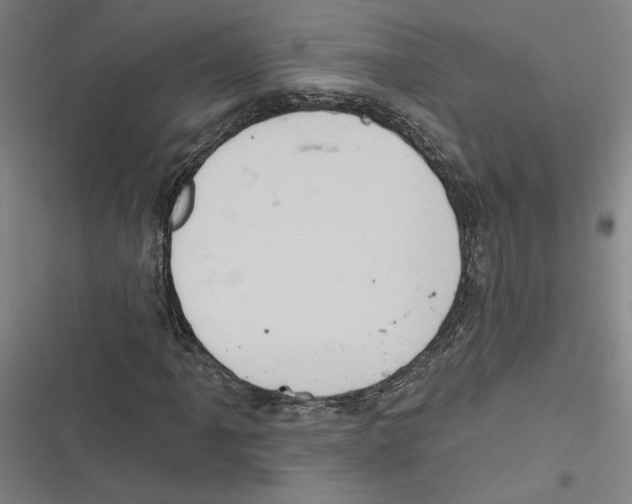 X0000116771061201001141446