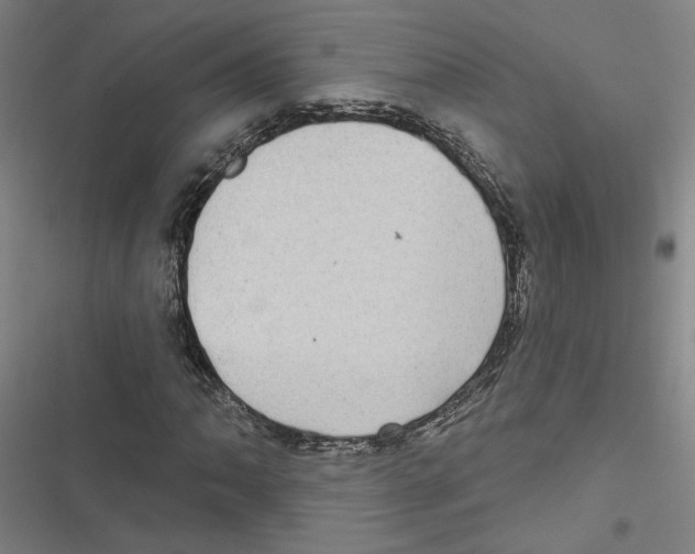 X0000116771062201001141446