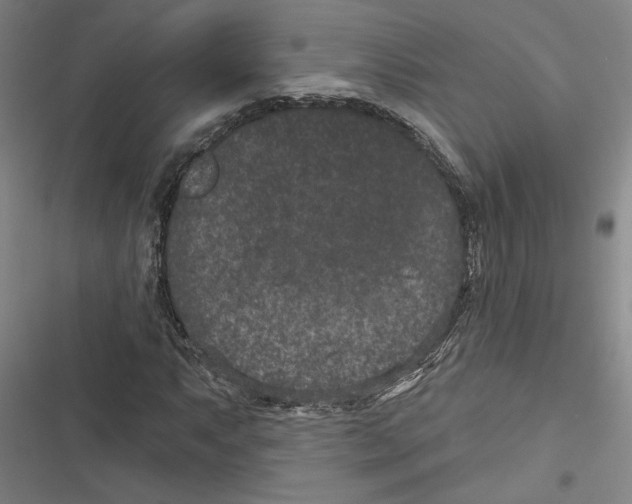 X0000116771063201001141446
