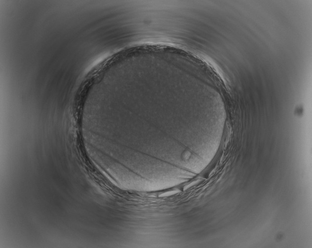 X0000116771064201001141446
