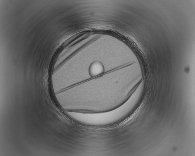 X0000116771065201001141446