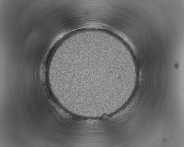 X0000116771067201001141446