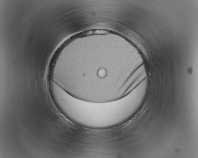 X0000116771068201001141446