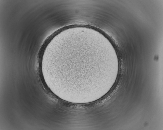 X0000116771070201001141446