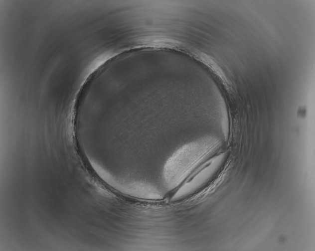 X0000116771071201001141446