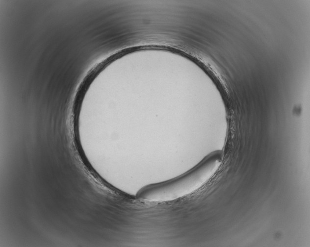 X0000116771072201001141446