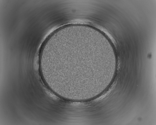 X0000116771075201001141446
