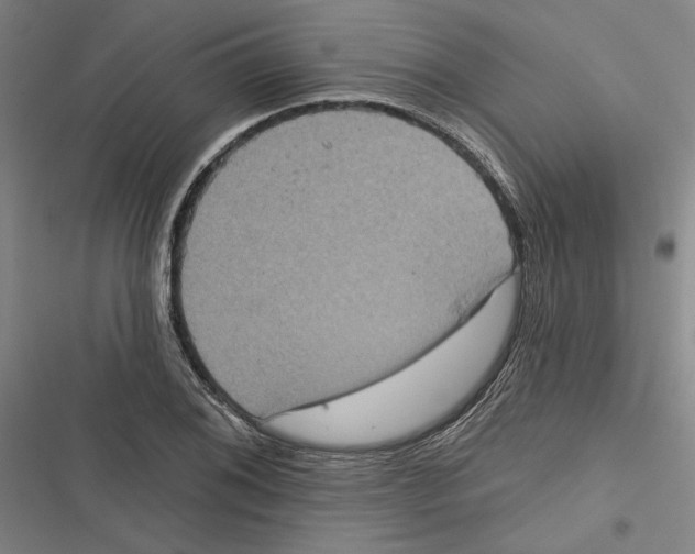 X0000116771076201001141446
