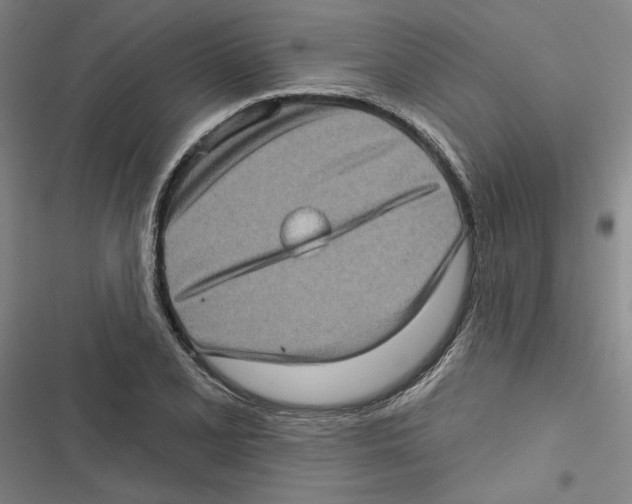 X0000116771077201001141446