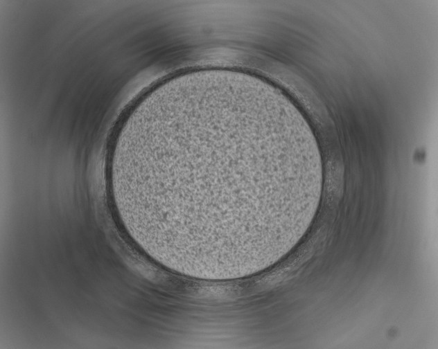 X0000116771078201001141446