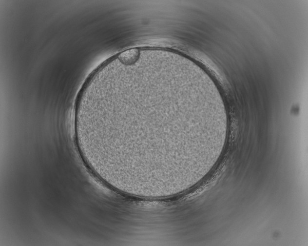 X0000116771079201001141446