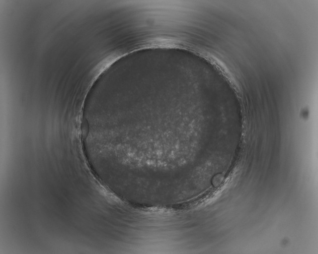 X0000116771081201001141446