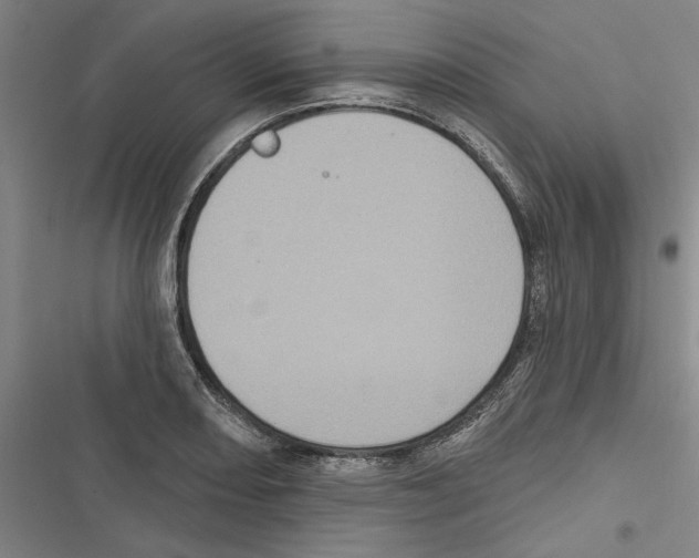 X0000116771082201001141446