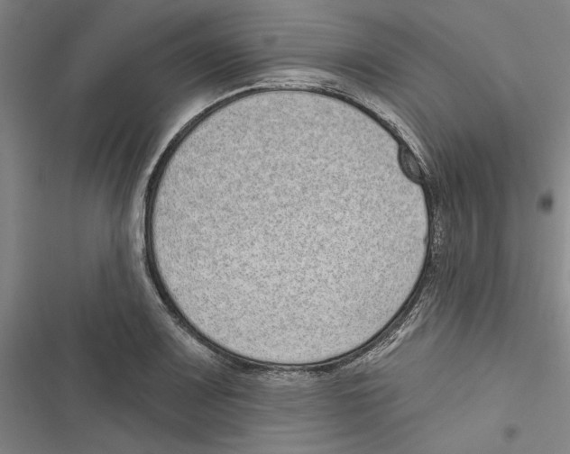 X0000116771083201001141446