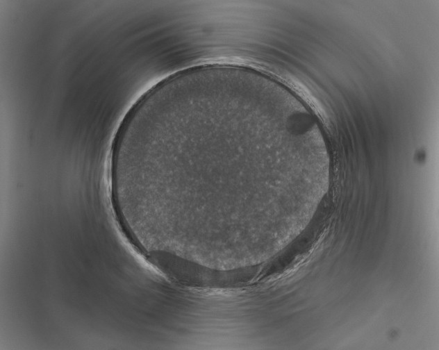 X0000116771084201001141446