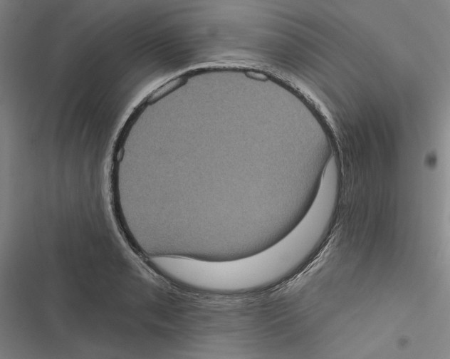 X0000116771085201001141446