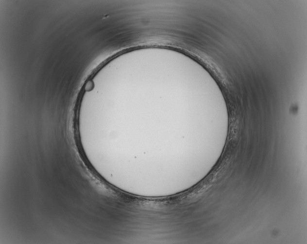 X0000116771086201001141445