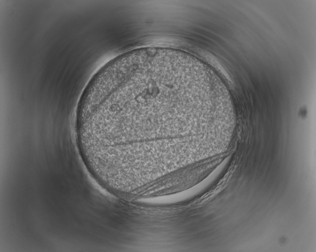 X0000116771087201001141445
