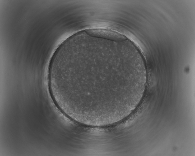 X0000116771088201001141445