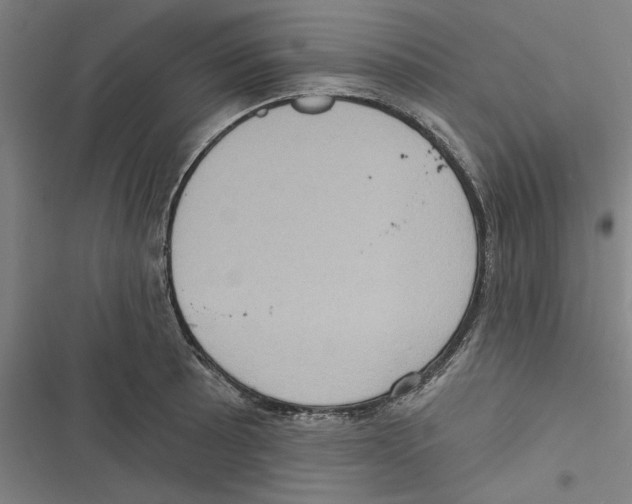 X0000116771089201001141445