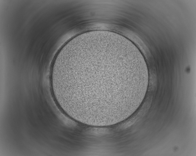 X0000116771090201001141445