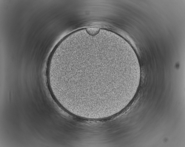 X0000116771091201001141445