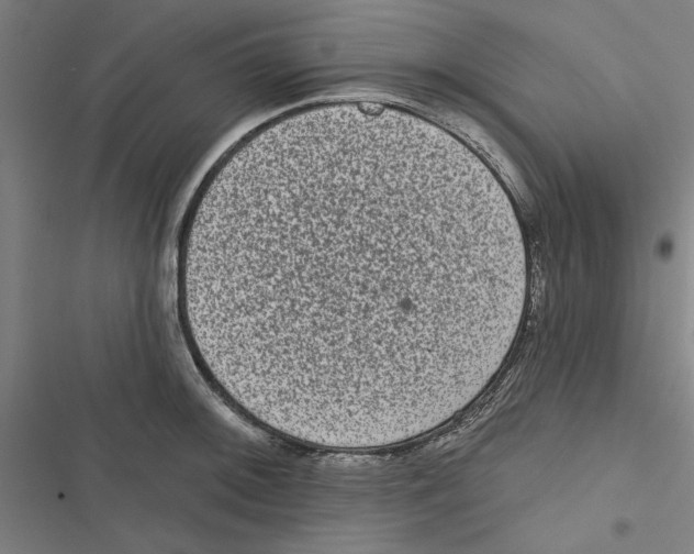 X0000116771092201001141445
