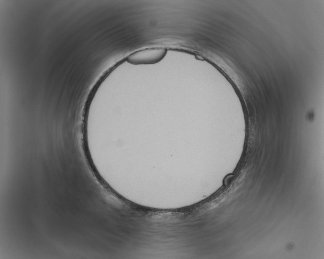 X0000116771093201001141445