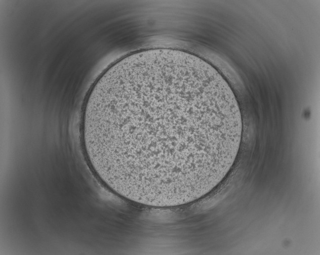 X0000116771094201001141445