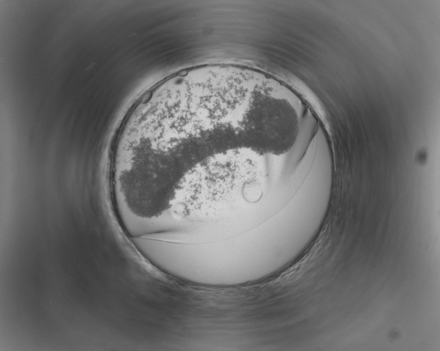 X0000116771096201001141445
