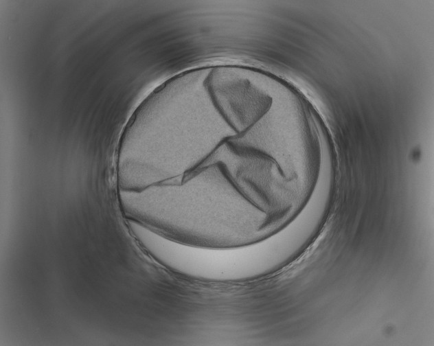 X0000116771097201001141445