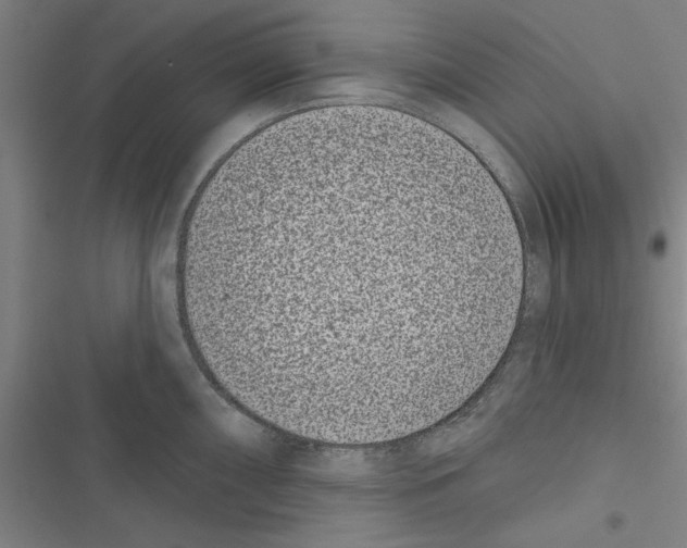 X0000116771098201001141445