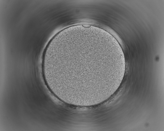 X0000116771099201001141445
