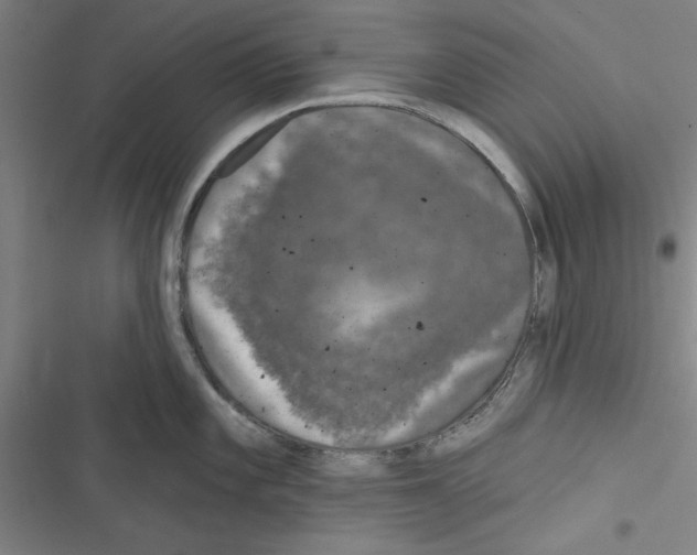 X0000116771101201001141445